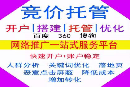 案例解读：SEM托管助力电商销售增长